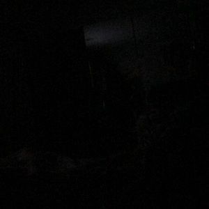 Meet your Posher, Nicol